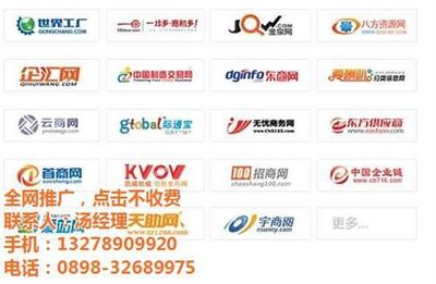 海口蓝欣网络技术官方 聚焦网络推广，助力企业数字化转型
